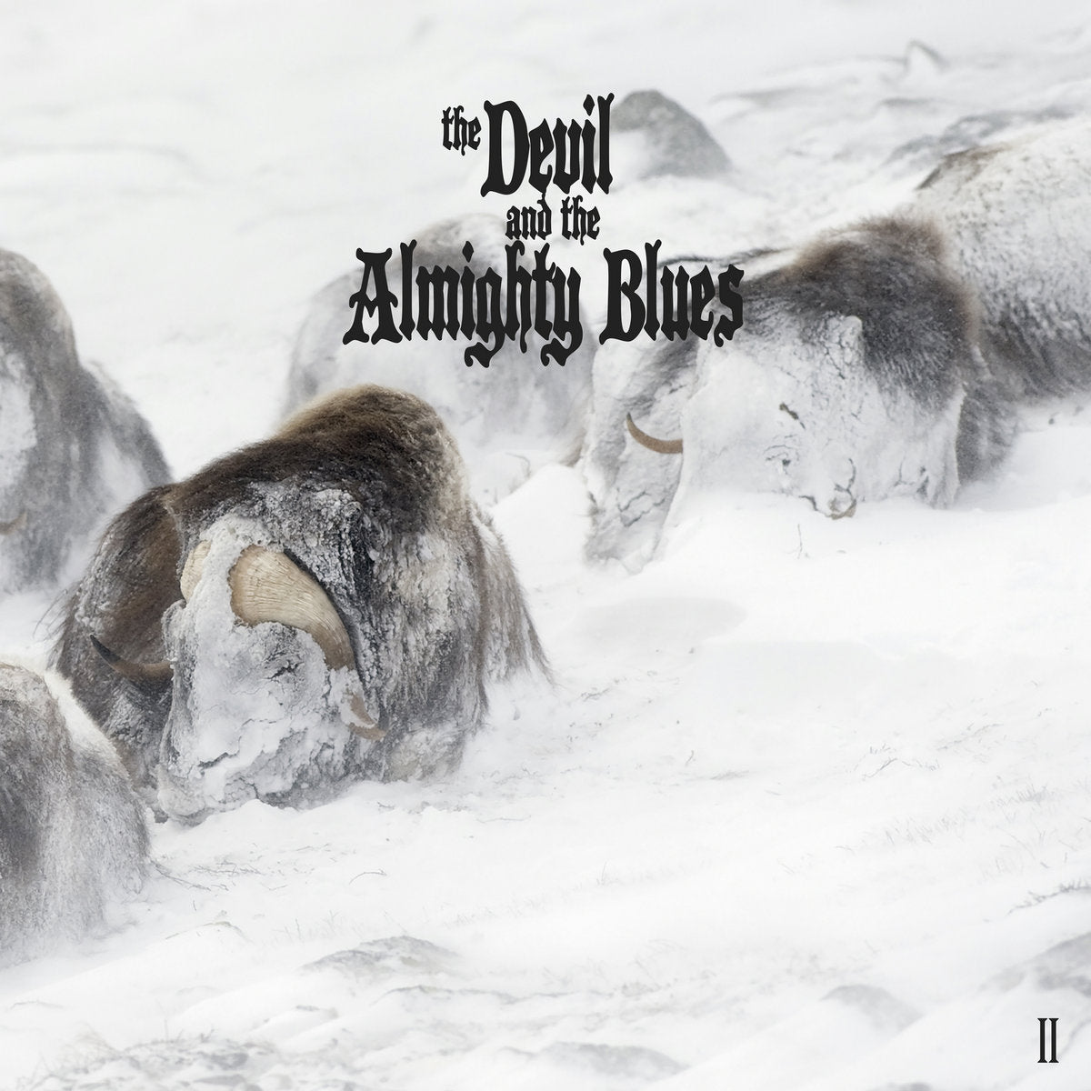 THE DEVIL AND THE ALMIGHTY BLUES - II