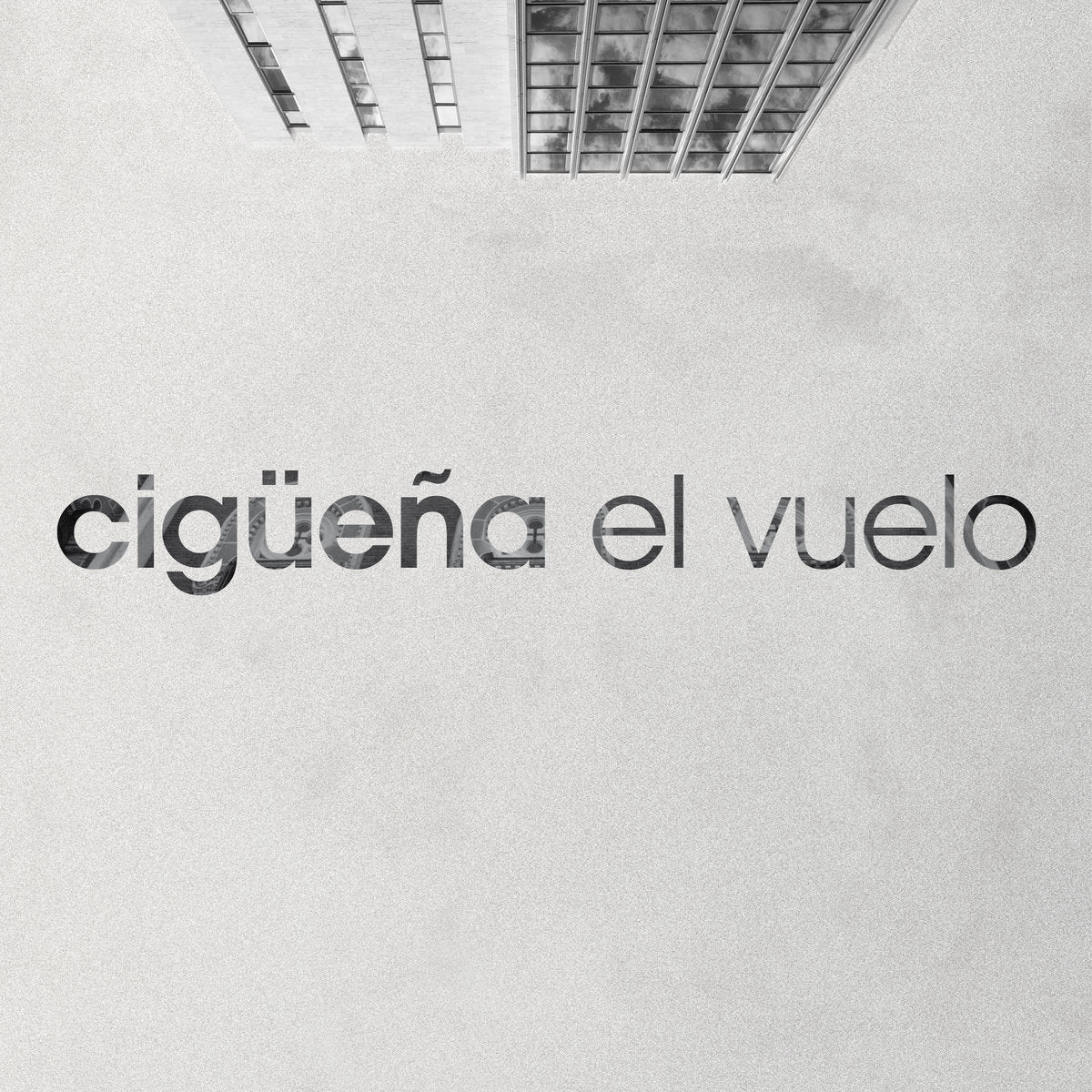 CIGÜEÑA - El vuelo