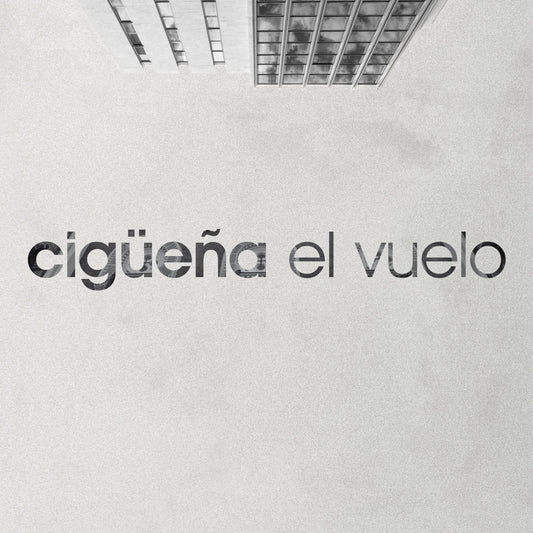 CIGÜEÑA - El vuelo