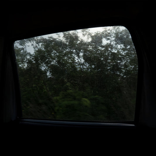 BERNAL - Vida y Milagros