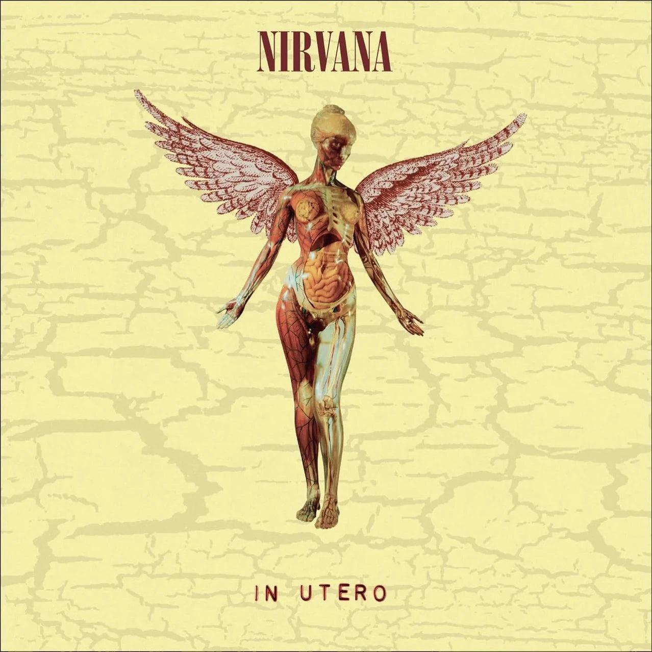 NIRVANA - In utero (30th Annniversary Ed.)