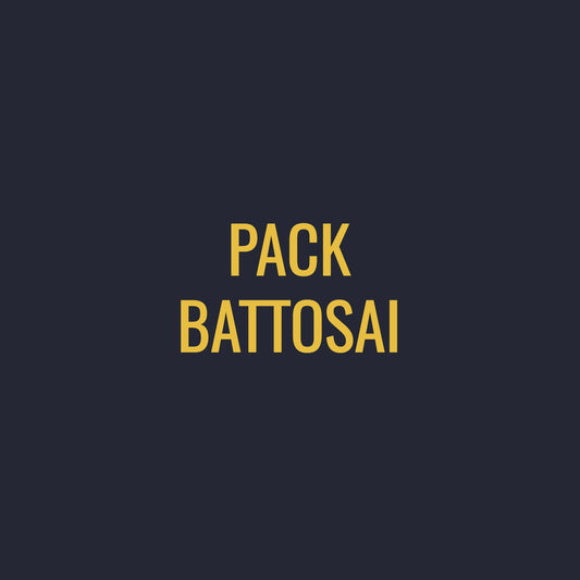 PACK BATTOSAI